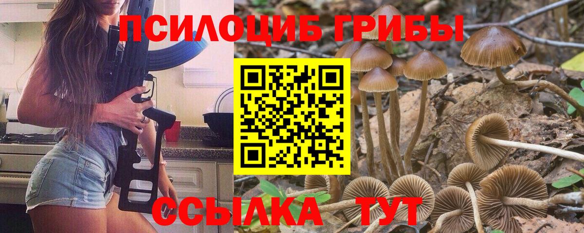 закладки  Галлюциногенные грибы MAGIC MUSHROOMS  Вход с VPN  Корсаков 