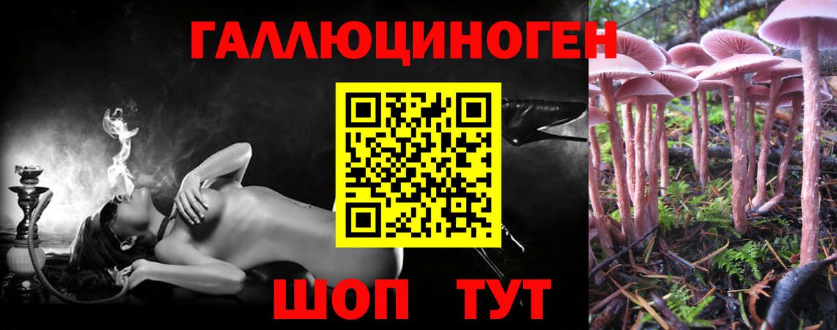 Псилоцибиновые грибы Psilocybe Корсаков